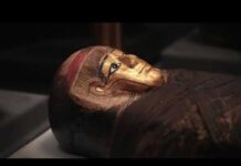 Ancient Mummies Reveal Secrets Through Their Scent