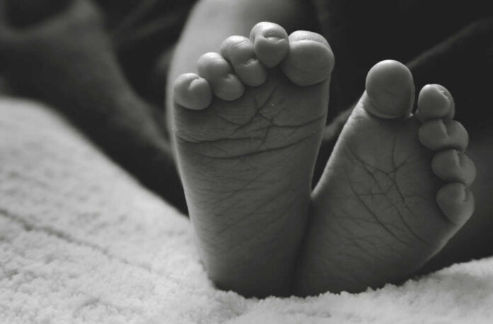 Close-up of a baby's feet resting on a soft surface