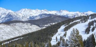 A skier navigating down a snowy slope with mountains in the background