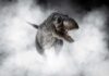 A Tyrannosaurus Rex emerging from fog with an aggressive stance