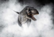 A Tyrannosaurus Rex emerging from fog with an aggressive stance