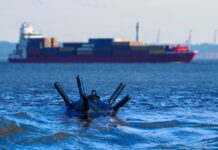 A cargo ship in the background with a mooring buoy in the foreground