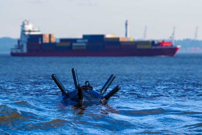 A cargo ship in the background with a mooring buoy in the foreground
