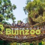 Entrance sign of Bioparque Buinzoo featuring cartoon animals