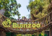 Entrance sign of Bioparque Buinzoo featuring cartoon animals