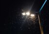 Insects swarming around a bright streetlight at night