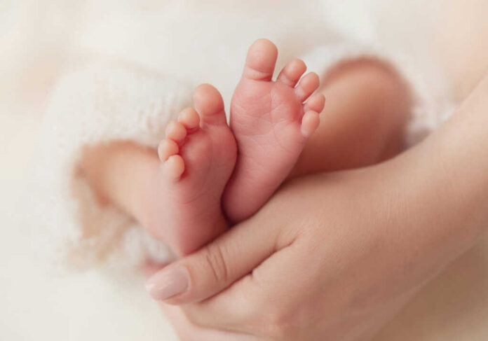 Baby feet cradled in adult hands