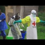U.S. doctor working in the Congo tests positive for Ebola