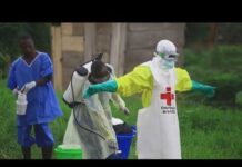 U.S. doctor working in the Congo tests positive for Ebola