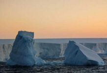 Two icebergs floating in the ocean at sunset
