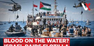 50 Ships Vs Israeli Navy | IDF Commandos Board Gaza-Bound Global Sumud Flotilla | VERTEX