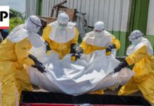 ‘The situation is not yet under control’: Ebola spreads rapidly in eastern Congo