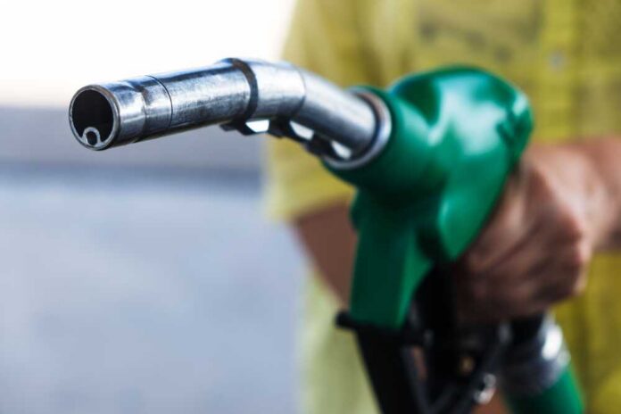 Close-up of a hand holding a green fuel pump nozzle