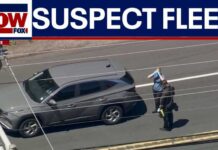 ICE agent fires shots after being struck by vehicle