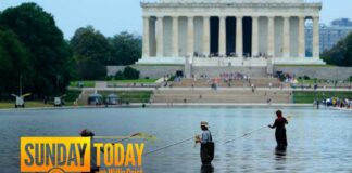 Ex-Olympian Arrested for Allegedly Touching Reflecting Pool Floor