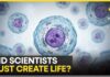 Science Breakthrough: Scientists Create Synthetic Cell In Major Scientific Breakthrough | WION News
