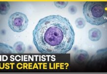 Science Breakthrough: Scientists Create Synthetic Cell In Major Scientific Breakthrough | WION News