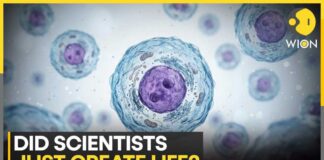 Science Breakthrough: Scientists Create Synthetic Cell In Major Scientific Breakthrough | WION News
