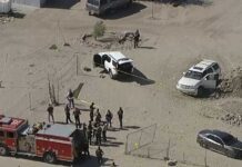 Detective shot while conducting investigation in Palmdale