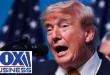 'TILL HELL FREEZES OVER': Senators respond to Trump's DEMAND