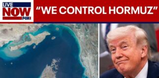 US controls Strait of Hormuz, not Iran, President Trump says