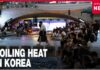 Live at Cheonggyecheon Stream as the heat wave sweeps across the nation