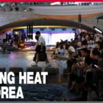 Live at Cheonggyecheon Stream as the heat wave sweeps across the nation