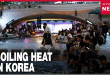 Live at Cheonggyecheon Stream as the heat wave sweeps across the nation