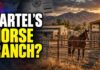 Who Really Owned This Horse Ranch? The Shocking Cartel Connection!