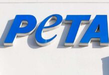 Blue PETA sign on a white wall