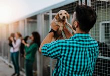 Man holding a puppy at an animal shelter