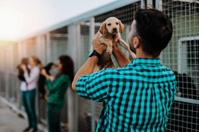 Man holding a puppy at an animal shelter